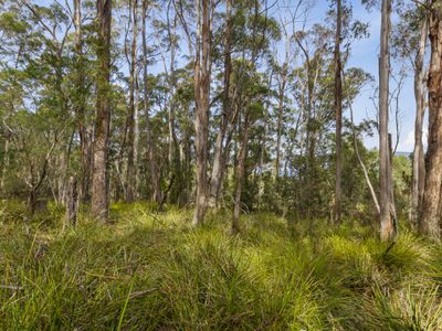 Lot 2 Langridge Road, Gardners Bay