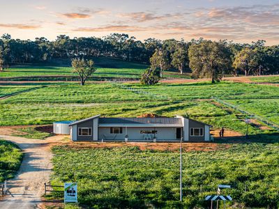 254 Guernsey Rise, Chittering