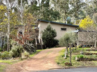 40 Christensen Street, Sawmill Settlement