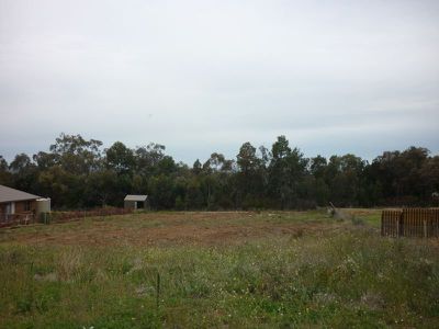 22 Glenabbey Drive, Dubbo