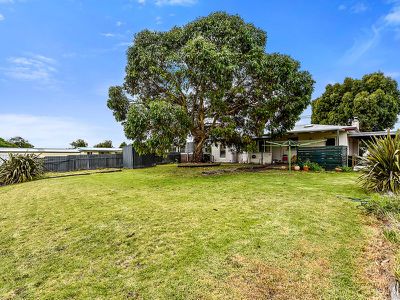 91 Williams Road, Millicent