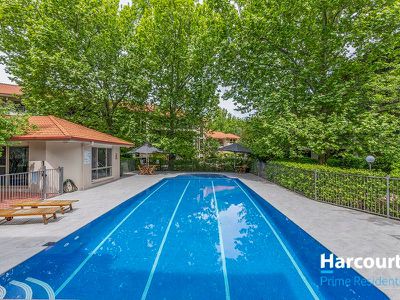 141 / 81 Kennedy Street, Kingston