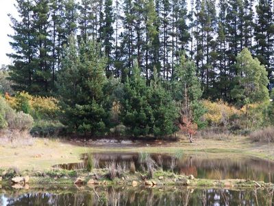 54 Turners Road, Cradoc