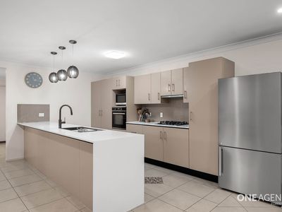 16 Cypress Street, Inala