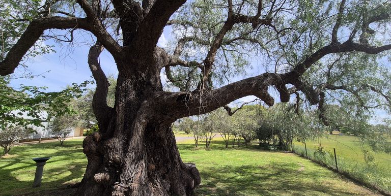 50 Ramage Road, Violet Town