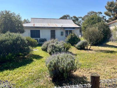 38 Forrest Street, Beverley