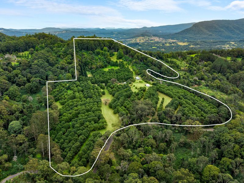 1005 TUNTABLE CREEK ROAD, Nimbin