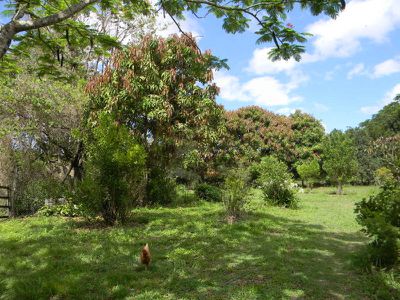22 Mitchell Creek Road, Kandanga Creek