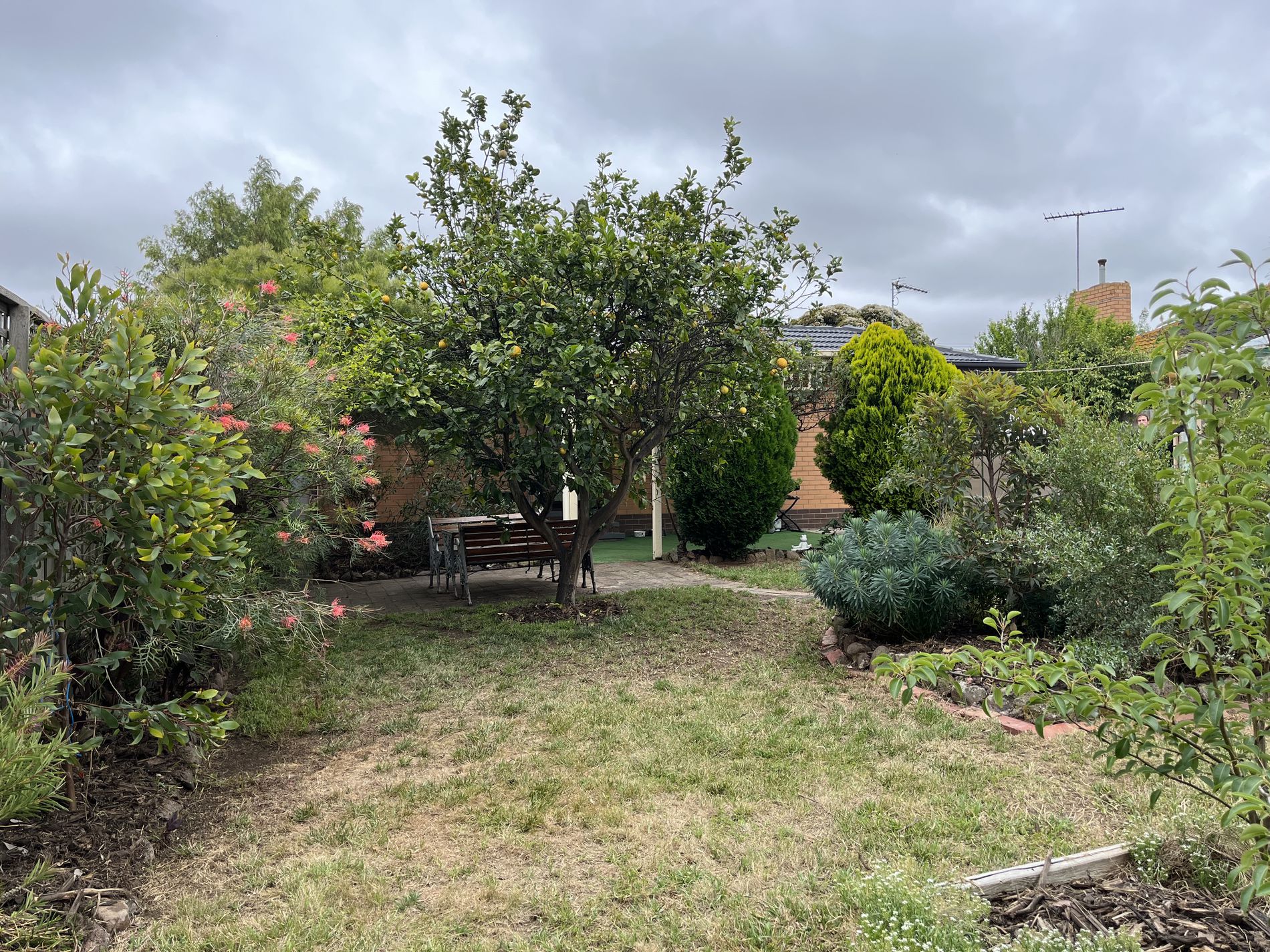 15 Highfield Drive, Grovedale