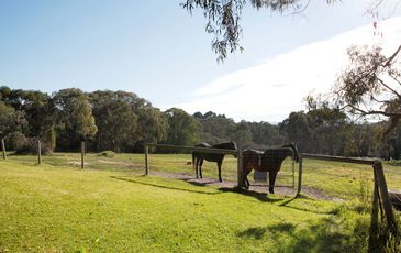 8 Funnell Road, Beaconsfield Upper