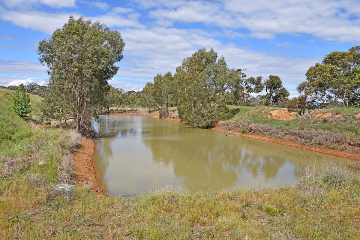 310 Andrews Road, Merrigum