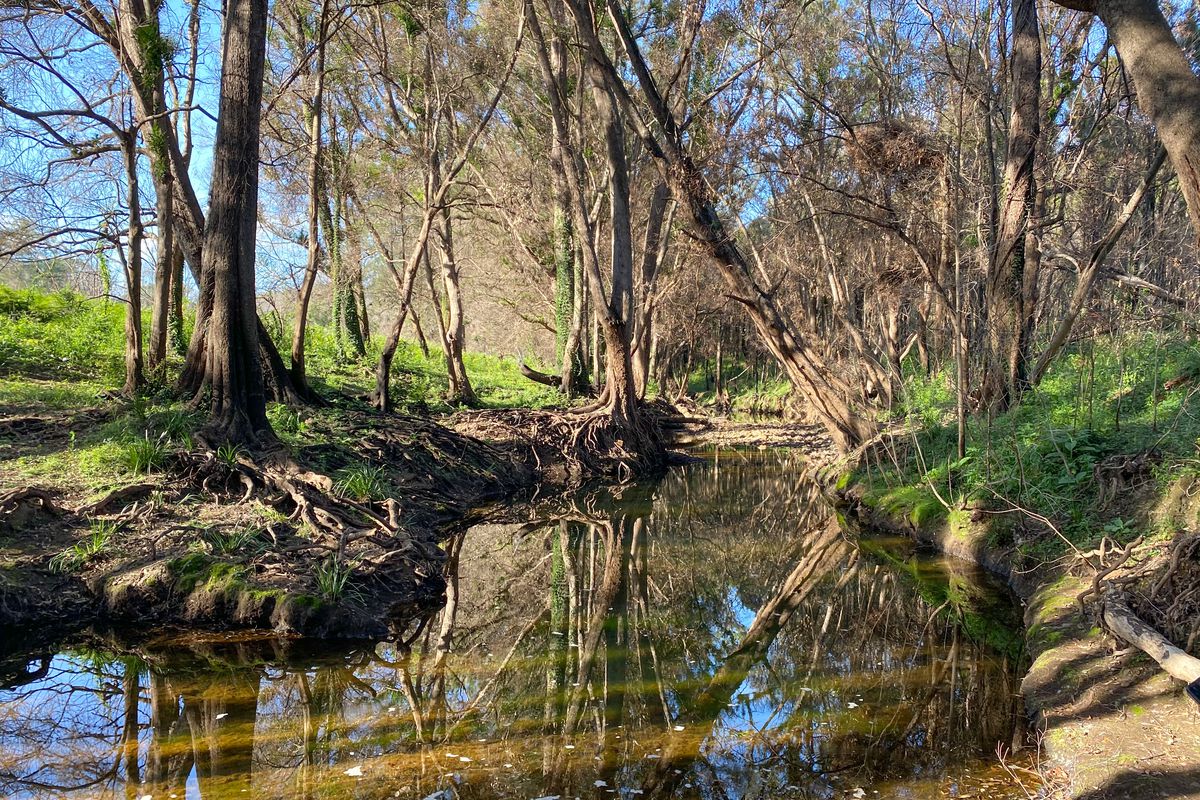 1 Waverley Road, Hillville