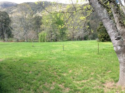 Bullhead Road, Tallangatta South