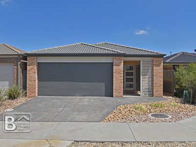 3 Roche Court, White Hills