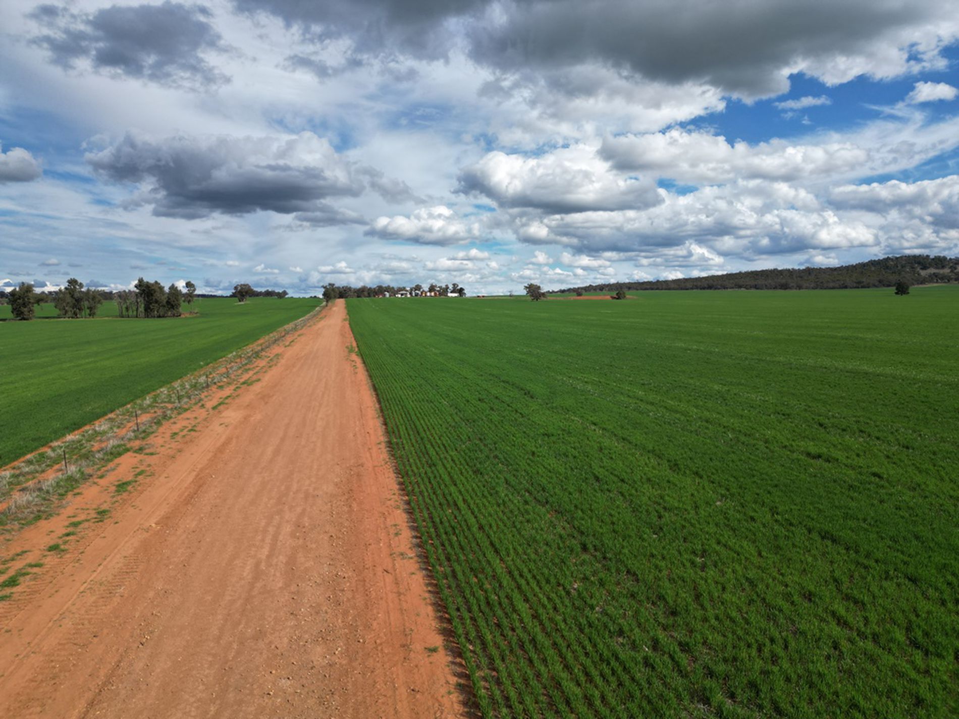 'Aver Hill' Jillet Road, Beckom