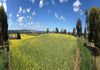 214 Livermore Lane, Molong