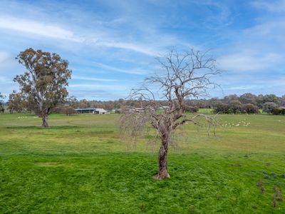 2269 Snow Road, Markwood
