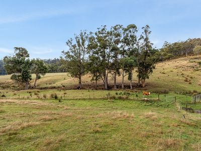 57 Cowens Road, Gardners Bay