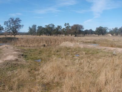 Lot 194 & 195 Nant Park Rd, Deepwater