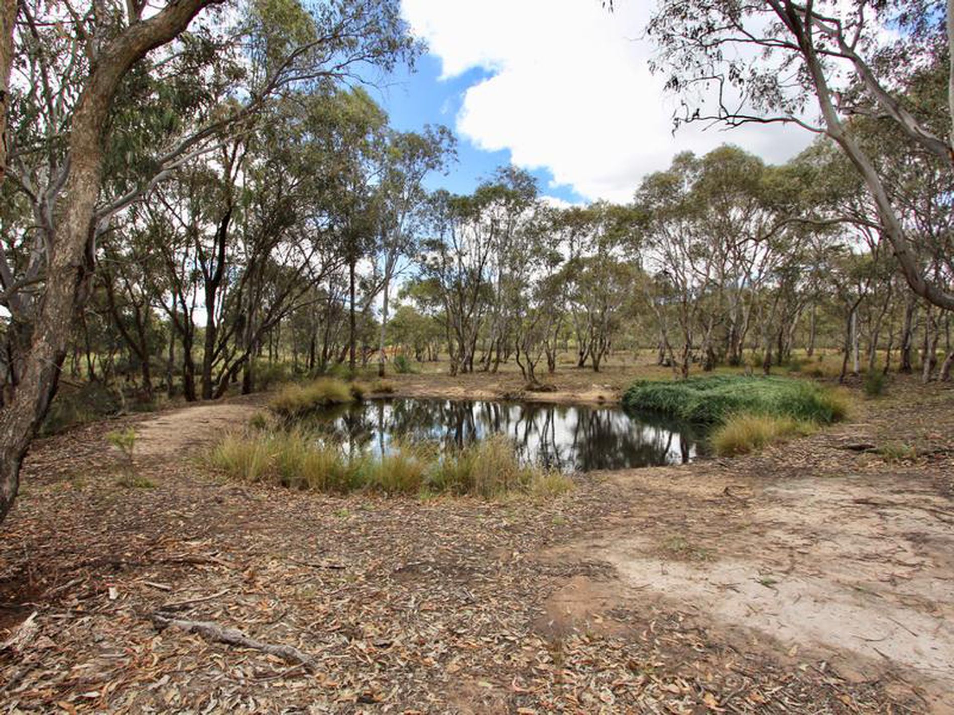 1340 Ophir Road, Rock Forest