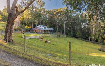 26 Bourkes Creek Road, Pakenham Upper
