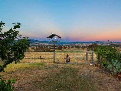 253 McLeod Lane, Mansfield
