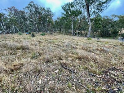 Lot 231, Wollun Road, Walcha Road