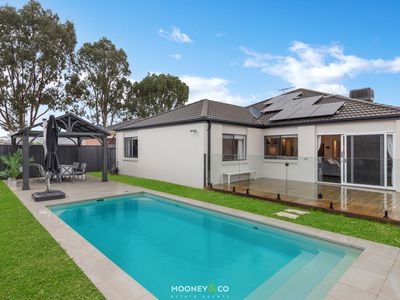 14 Blainroe Crescent, Cranbourne