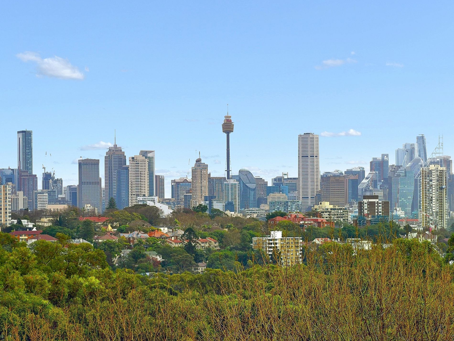 17 / 206 Victoria Road, Bellevue Hill