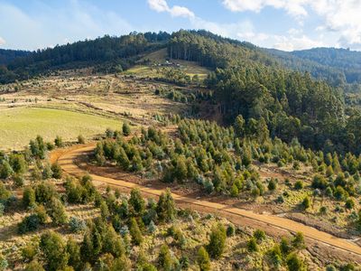 off Paddys Lane , Franklin