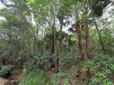 166a Bendeela Rd, Kangaroo Valley