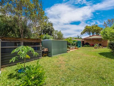 146 Bainbridge Street, Ormiston