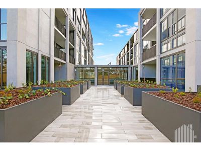 204B/72 Ascot Vale Road, Flemington