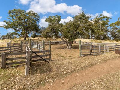 1350 Honeysuckle Road, Tooms Lake