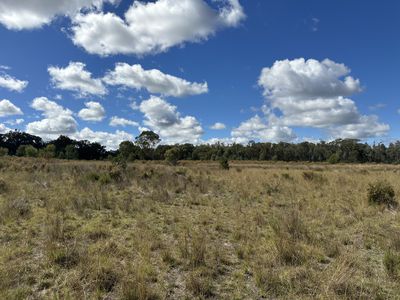 572 Box Ridge Road, Binnaway
