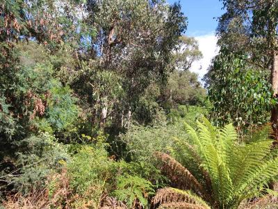 228 Cross Road, Gardners Bay