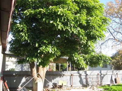 21 Mildred Street, Quambatook