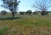 414 Whiteley Road, Molong