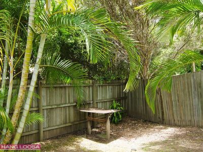 7 Sassafras Court, Tewantin