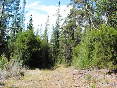 Land Off Steeles Road, Nicholls Rivulet
