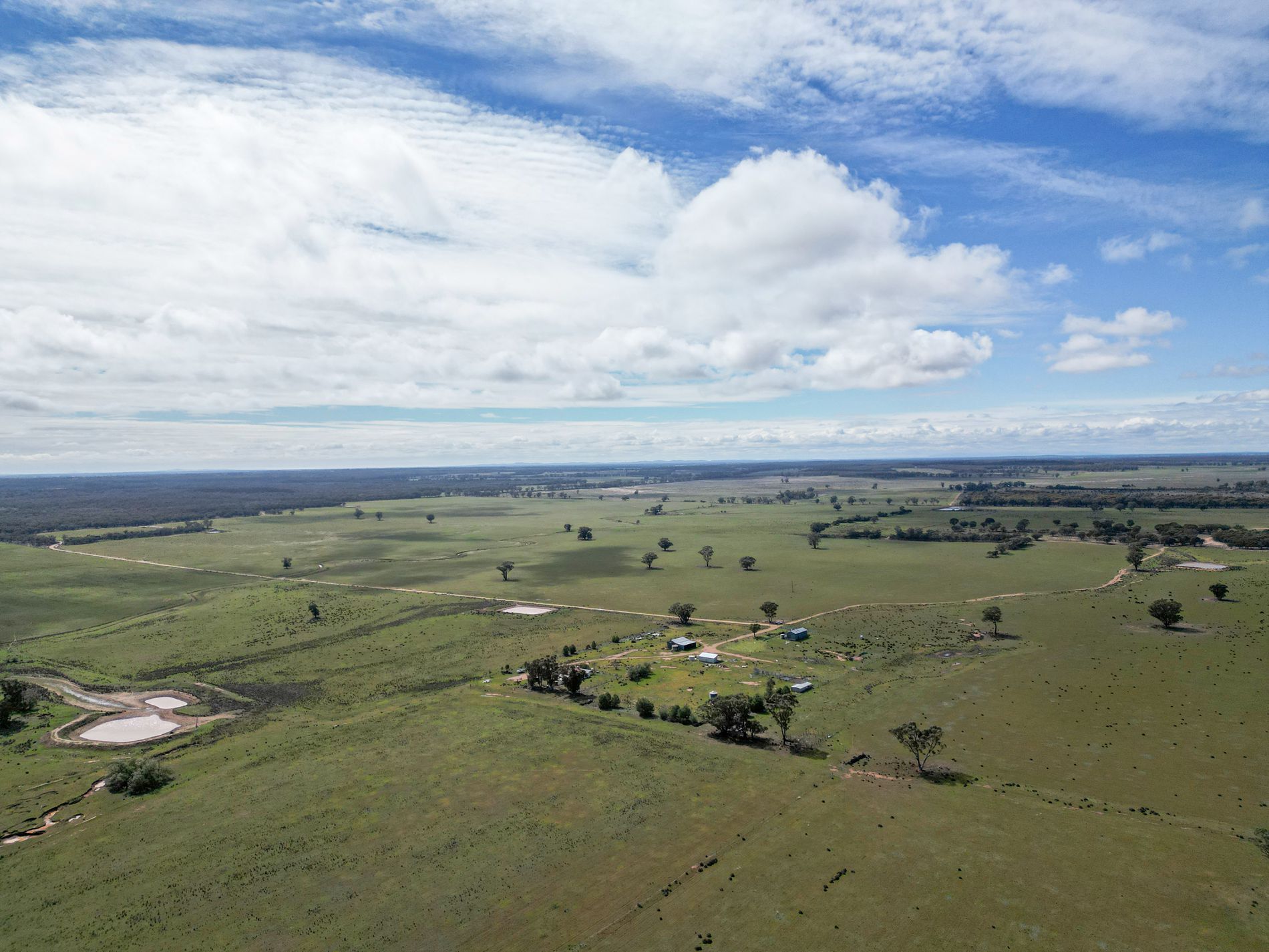 ' Dalmallee' 735 Charcoal Tank Road, West Wyalong