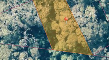 Lot lot 1, 1824490 Edward Street West Coast [Balfour], Temma