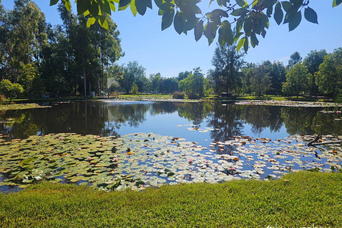 1367 Byrneside-Kyabram Road, Lancaster