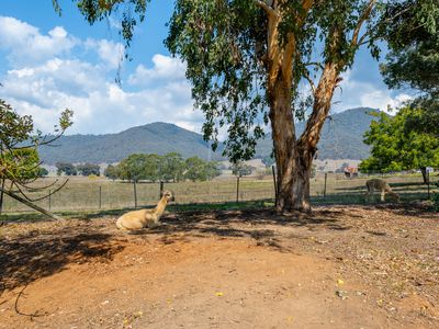 1454 Yackandandah-Dederang Road, Dederang