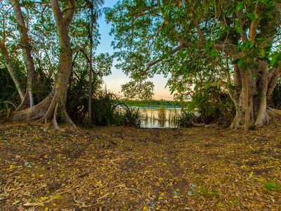 582 / Packsaddle Road, Kununurra