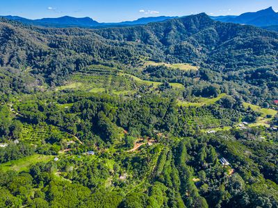 89 Geles Road, Upper Burringbar
