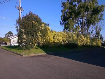 20 / 22 Oramzi Rd, Girraween