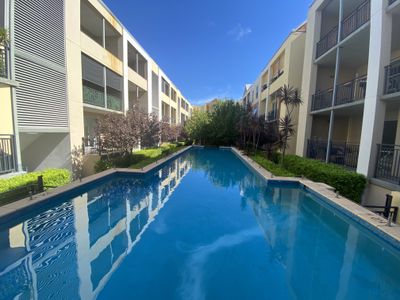 51 / 134 Aberdeen Street, Northbridge