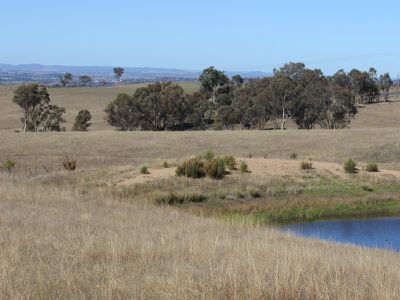 126 Howards Lane, Mount Rankin