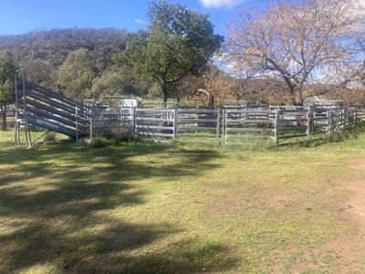 1950 FLAGGS ROAD, Gungal